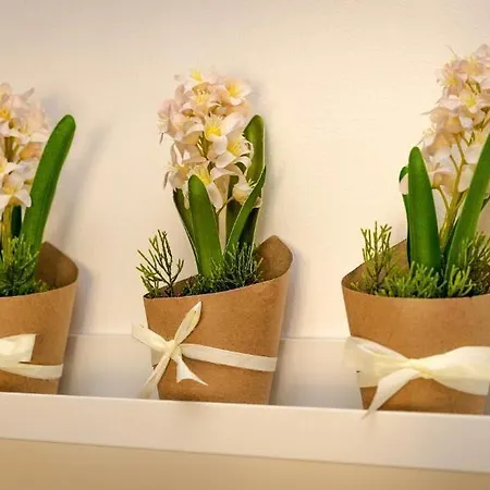 게스트하우스 Cconforthotels Semplici Emozioni