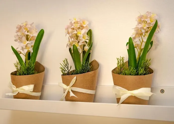 ゲストハウス Cconforthotels Semplici Emozioni